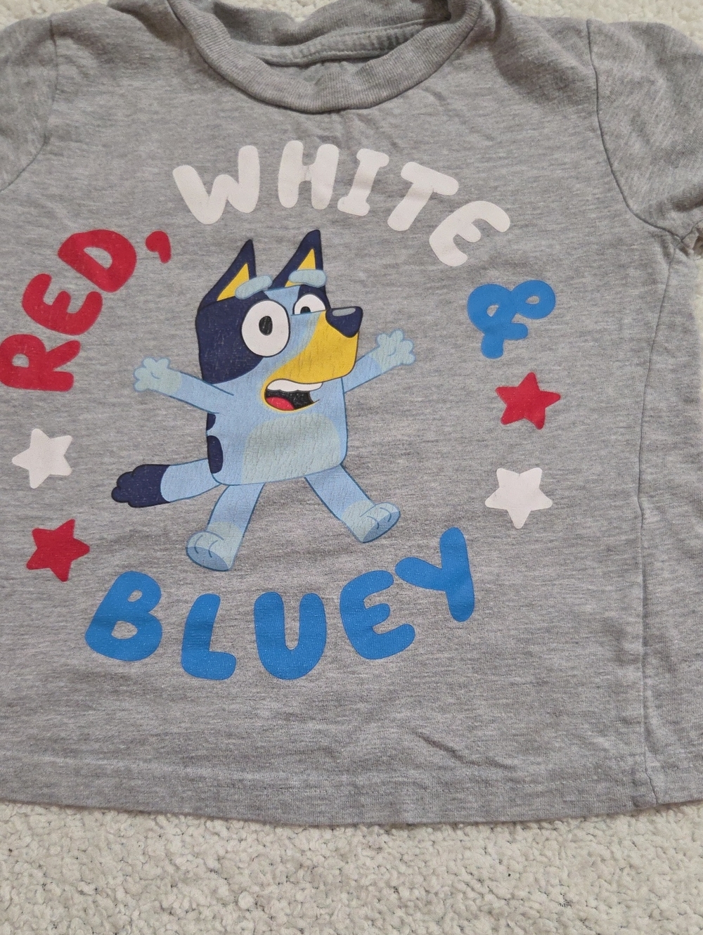 BLUEY TSHIRT